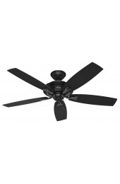 | Hunter Rainsford 52-in Matte Black Indoor/Outdoor Downrod or Flush Mount Ceiling Fan (5-Blade) - JE32286