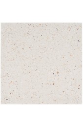 Tile| Artmore Tile Tarboro Terrazzo 2-Pack Ivory 16-in x 16-in Polished Cement Cement Look Floor and Wall Tile - IB57410