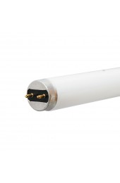 Fluorescent Light Bulbs| GE Ecolux 28-Watt 48-in Medium Bi-Pin (T8) 4100 K Cool White Fluorescent Light Bulb (36-Pack) - KP70606