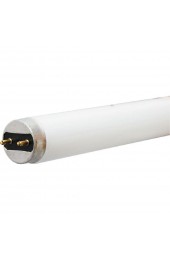 Fluorescent Light Bulbs| GE Ecolux UltraMax 28-Watt 48-in Medium Bi-pin (T8) 5000 K Daylight Fluorescent Light Bulb (36-Pack) - NQ25099
