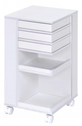 | ACME FURNITURE Nariah 13-in W x 25-in H Wood Composite White Freestanding Utility Storage Cabinet - EH05505