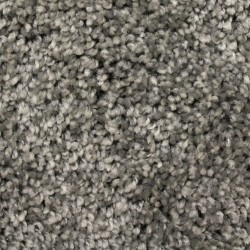 Carpet| STAINMASTER Essentials Coquina Gray Slate Textured Carpet (Indoor) - CE92256