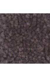 Carpet| STAINMASTER Essentials Intuition II 12 Ft Amethyst Textured Carpet (Indoor) - TY10550