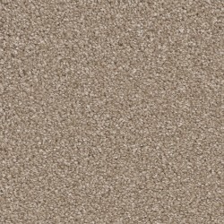 Carpet| STAINMASTER Nags Head Treasure Textured Carpet (Indoor) - KS05455