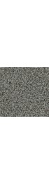 Carpet| STAINMASTER PetProtect Allure Honorable Textured Carpet (Indoor) - AE64696