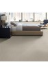Carpet| STAINMASTER PetProtect Barkland Silver Fox Pattern Carpet (Indoor) - AV84955