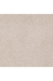 Carpet| STAINMASTER PetProtect Best Of Breed Warm Winter Textured Carpet (Indoor) - EF96460