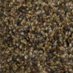 Carpet| STAINMASTER PetProtect Companion Friendship Textured Carpet (Indoor) - WF39326