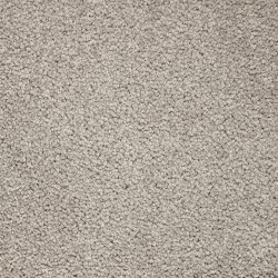 Carpet| STAINMASTER PetProtect Pawfection City Loft Textured Carpet (Indoor) - YT81874