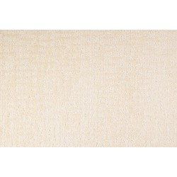 Carpet| STAINMASTER PetProtect Pembroke Breathtaking Textured Carpet (Indoor) - EP52160