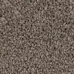 Carpet| STAINMASTER PetProtect Shimmer Gleam Textured Carpet (Indoor) - CL10061