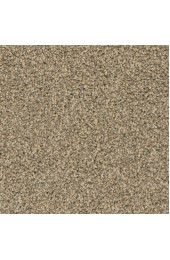 Carpet| STAINMASTER PetProtect Sos Druid Hills Terrain Textured Carpet (Indoor) - NX63181