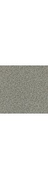 Carpet| STAINMASTER PetProtect The Bark Side II Iced Marble Textured Carpet (Indoor) - PY53812