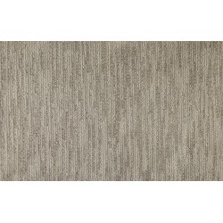 Carpet| STAINMASTER PetProtect Waterford Way Pavestone Pattern Carpet (Indoor) - WX58910