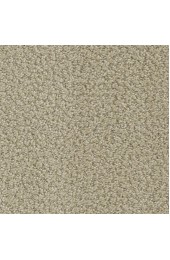 Carpet| STAINMASTER Signature Interlude Reasoning Pattern Carpet (Indoor) - PI39368