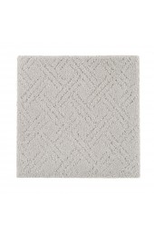 Carpet| STAINMASTER Signature Nature's reserve Dorian Pattern Carpet (Indoor) - AX13804