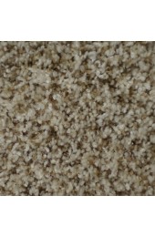 Carpet| STAINMASTER Signature On Broadway Newel Textured Carpet (Indoor) - HN26451