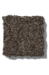 Carpet| STAINMASTER Unmatched Beauty II Chestnut Textured Carpet (Indoor) - LM00681
