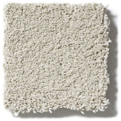 Carpet| STAINMASTER Unmatched Beauty III Spearmint Textured Carpet (Indoor) - RD78294