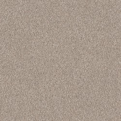 Carpet| Style Selections Hideaway I Mist Textured Carpet (Indoor) - IB29788